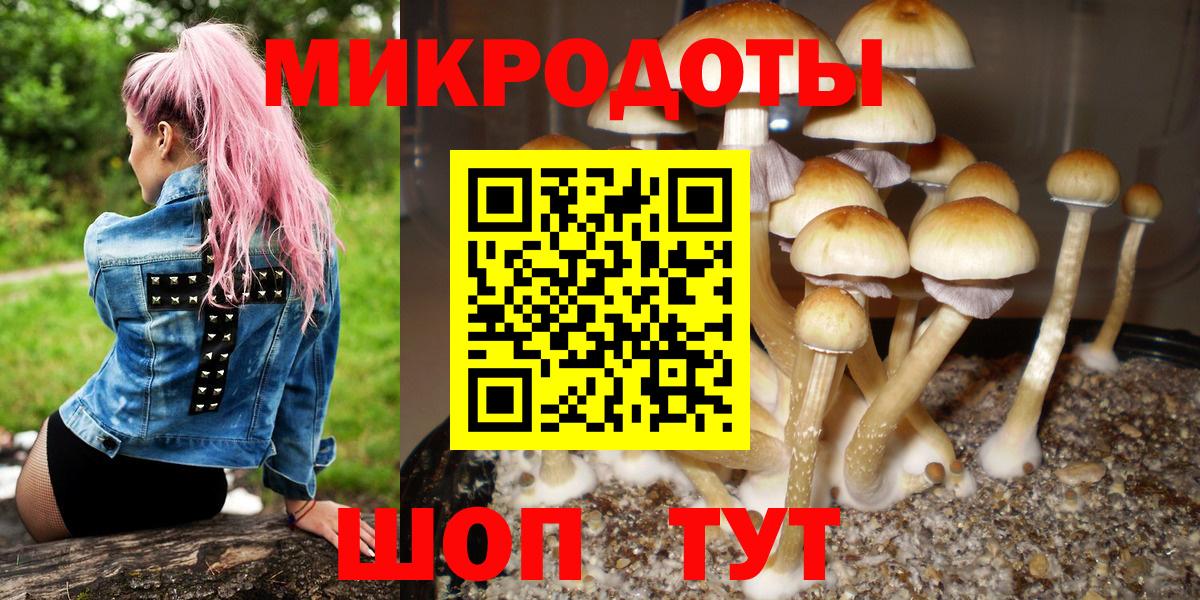 Галлюциногенные грибы Psilocybe  Вход с VPN  Новомосковск 